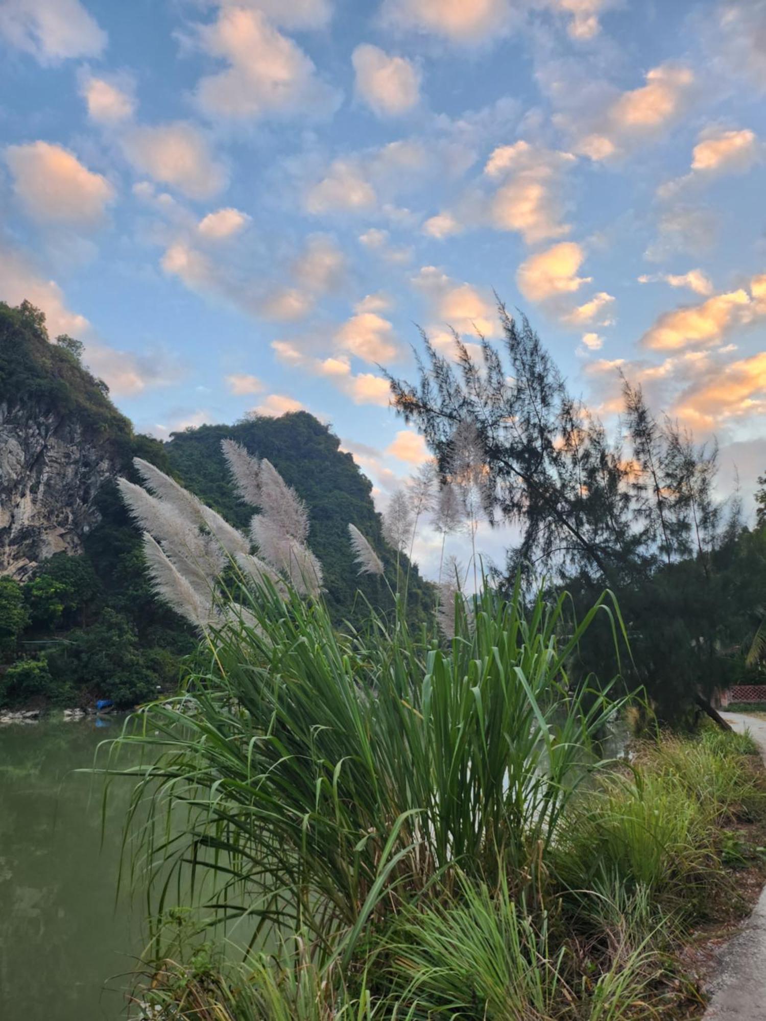2Stones Cat Ba Homestay Chan Chau Dış mekan fotoğraf